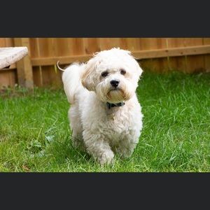 Meet your Posher, Parker